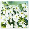 Dogwood Plants panels paint by numbers