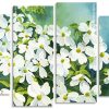 Dogwood Plants Panels paint by numbers