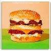 Hamburger Sandwich Panels paint by numbers