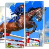 Horse Rider Jumping Panels paint by numbers