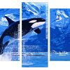 Killer Whale Panels paint by numbers