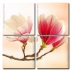 Magnolia Flowering Plant panels paint by numbers