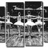 Monochrome Ballerinas Panels paint by numbers