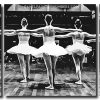 Monochrome Ballerinas Panels paint by numbers