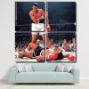 Muhammad Ali Boxer Panels paint by numbers