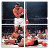 Muhammad Ali Boxer Panels paint by numbers