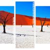 Namibia Desert Panels paint by numbers