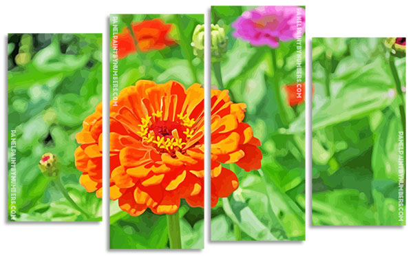 Orange Zinnia panels paint by numbers