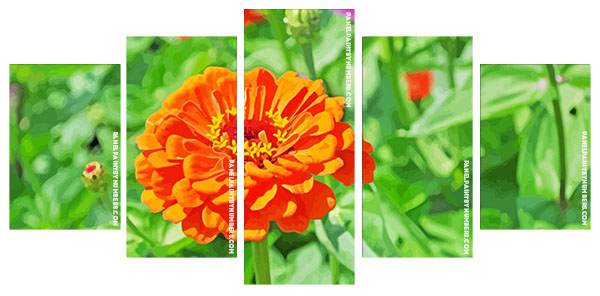 Orange Zinnia panels paint by numbers