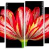 Parrot Tulip Plant Panels paint by numbers