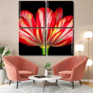 Parrot Tulip Plant Panels paint by numbers