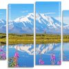 Snowy Mountains Alaska panels paint by numbers