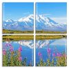 Snowy Mountains Alaska panels paint by numbers