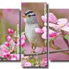 Sparrow Bird and Pink Flowers Panels paint by numbers