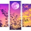 Sunset Full Moon Panel paint by number