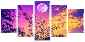 Sunset Full Moon Panel paint by number