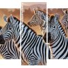 Zebra Herd panels paint by numbers