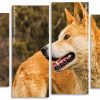 Aesthetic Dingo panels paint by numbers