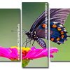 aesthetic Spicebush swallowtail insect paint by numbers