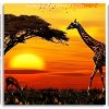 African Animals panels paint by numbers