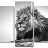 Black And White Lion panels paint by numbers