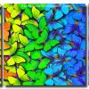 colorful butterflies panels paint by numbers