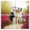 Cute Collies panels paint by numbers