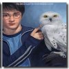 Harry Potter And His Owl panels paint by numbers