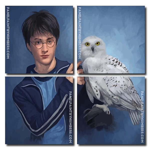 Harry Potter An His White Owl panels paint by numbers