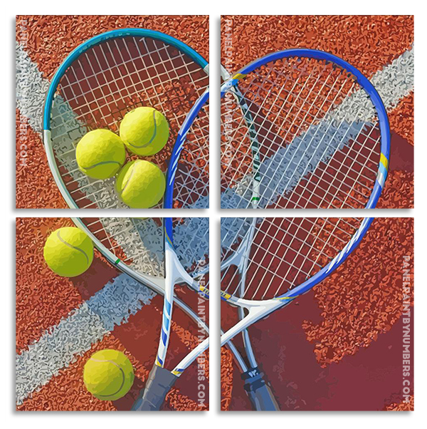 Tennis Racquets And Balls  panels paint by numbers