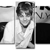 Young Leonardo DiCaprio panels paint by numbers