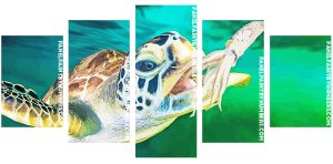 Green Sea Turtle Underwater Panel paint by numbers