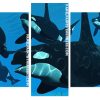 The Killer Whale Panel paint by numbers