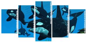 The Killer Whale Panel paint by numbers