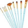 Acrylic blue Paint Brush Set