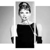 Actress audrey hepburn Panels paint by numbers