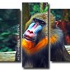 Aesthetic MandrillAesthetic Mandrill panels paint by numbers