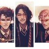 Aesthetic Marauders panels paint by numbers