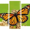 Aesthetic Monarch Butterfly panels paint by numbers