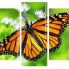 Aesthetic Monarch Butterfly panels paint by numbers