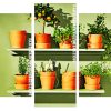 Aesthetic Plants Pots Panel paint by numbers