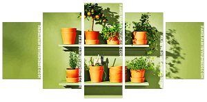 Aesthetic Plants Pots Panel paint by numbers