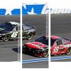 Aetshetic Nascar panels paint by numbers