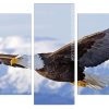 American Bald Eagle panels paint by numbers