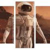 Astronaut On Red planet Panels paint by numbers