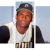 Baseball player roberto clemente Panels paint by numbers