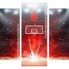 Basketball Sport Illustration panels paint by numbers