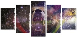 Bear Into The Space Panel paint by numbers