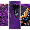 Black Swallowtail Butterfly Panels paint by numbers