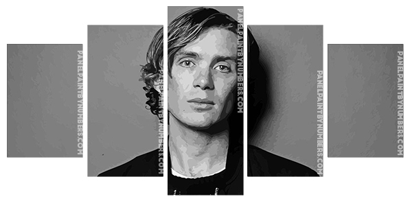 Black And White Cillian Murphy Panels paint by numbers